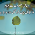20+ All Time Best Urdu Aqwal Zareen Wallpapers for Facebook
