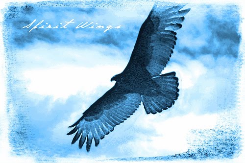 Spirit Wings Gratitude Blog
