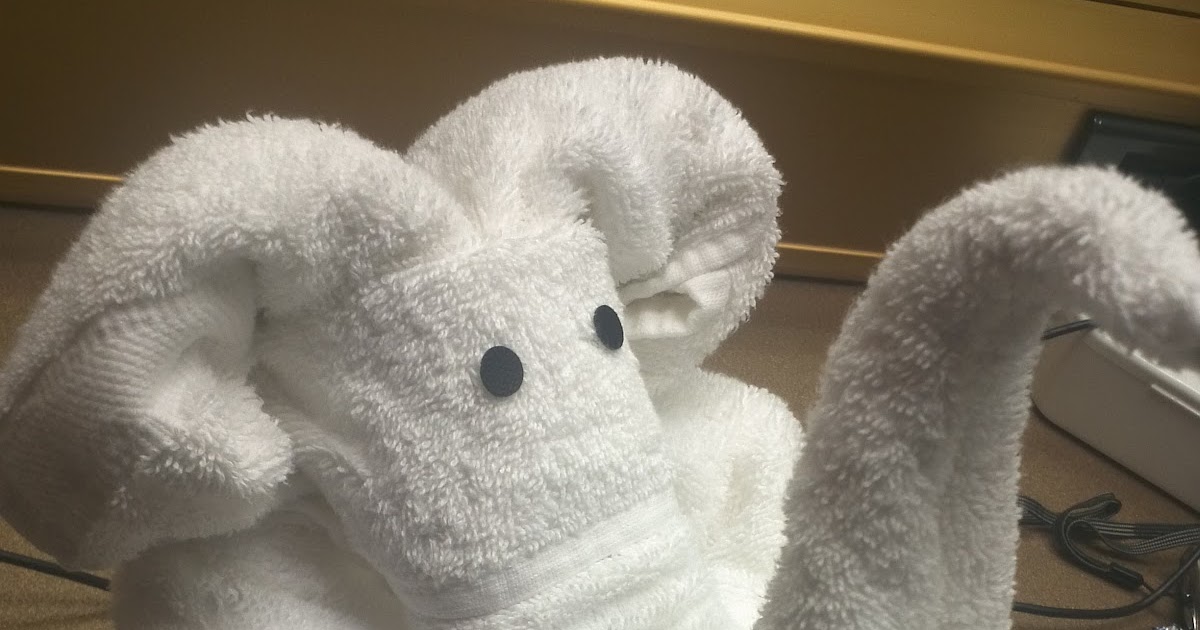 night.owls.sb Towel Animals