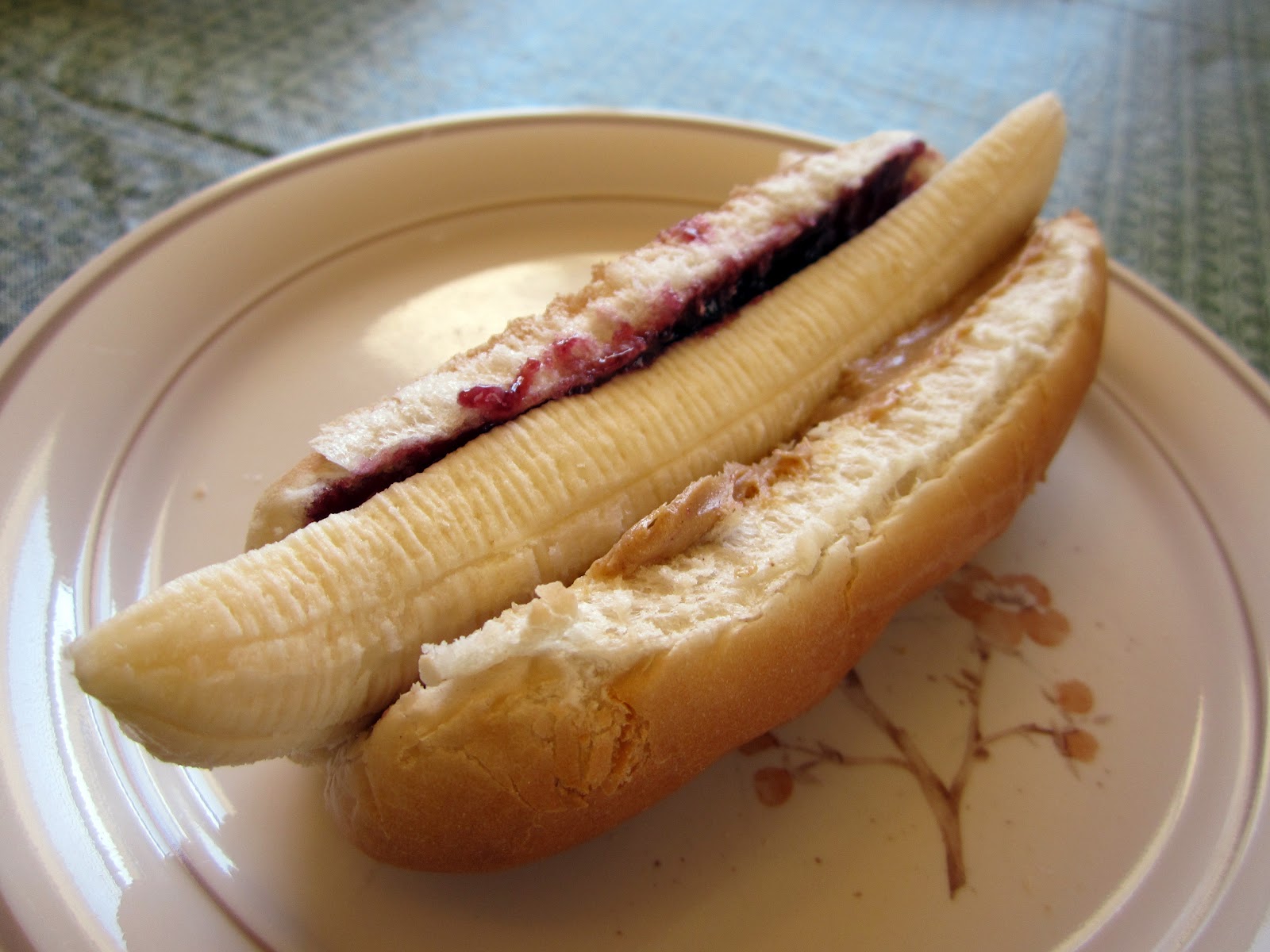 Erratic Momma Banana Dogs
