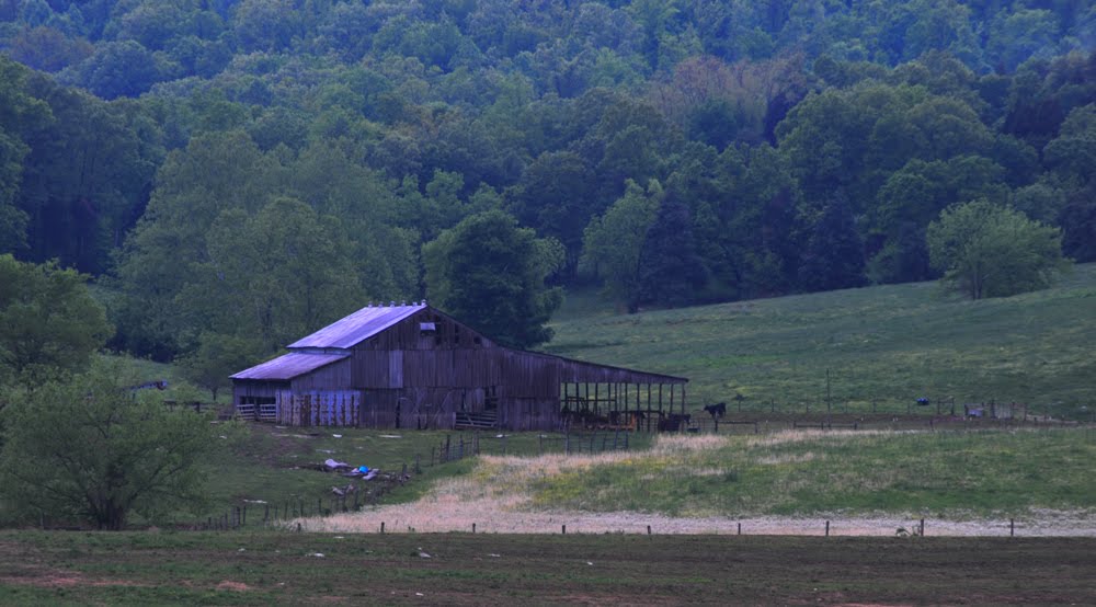 OMOREAN PHOTOGRAPHY My Old Kentucky Barn Horse Cave