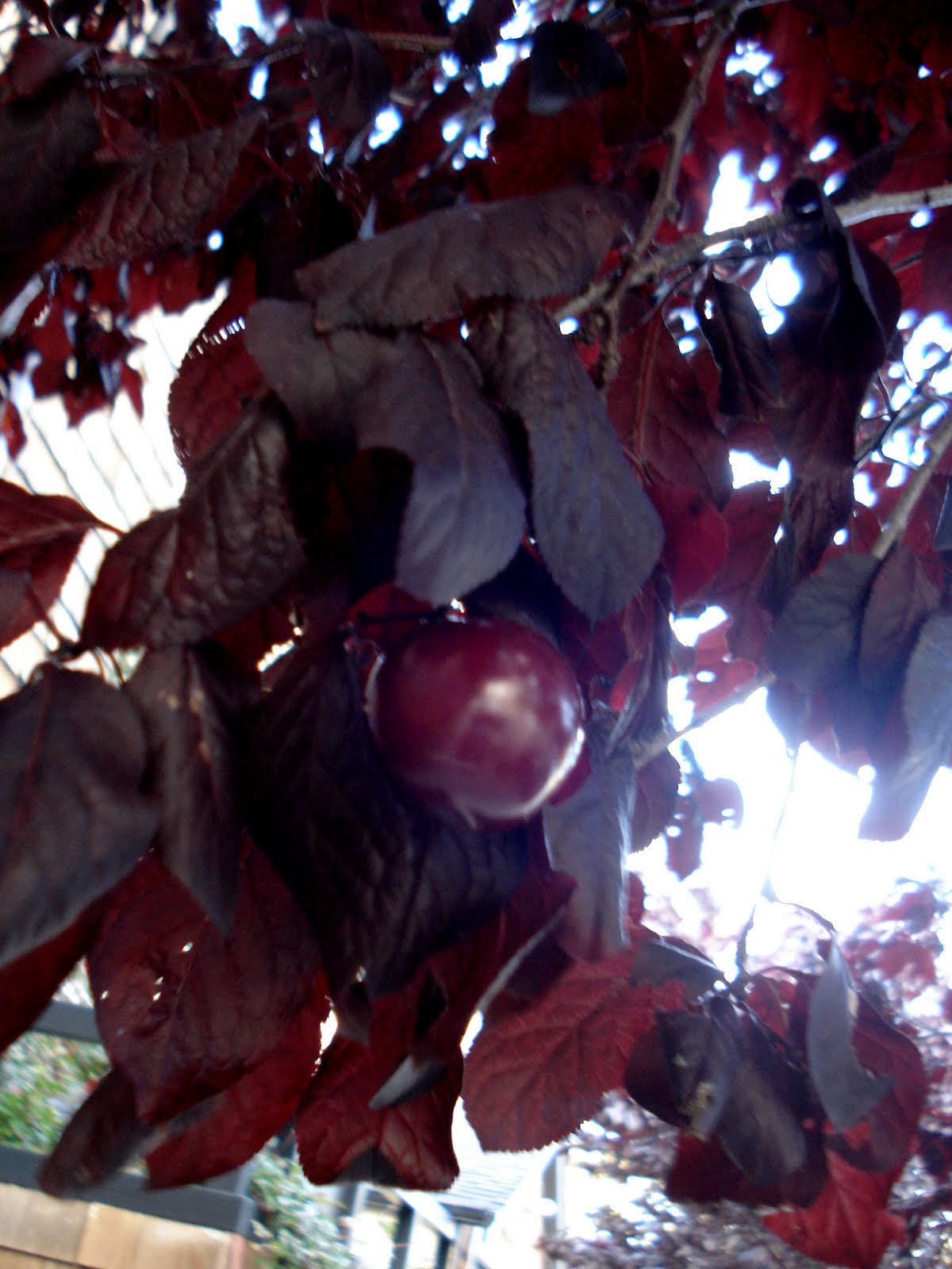 2 miles in Glen Park