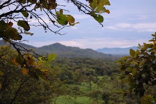 View from Los Loros View from Los Loros