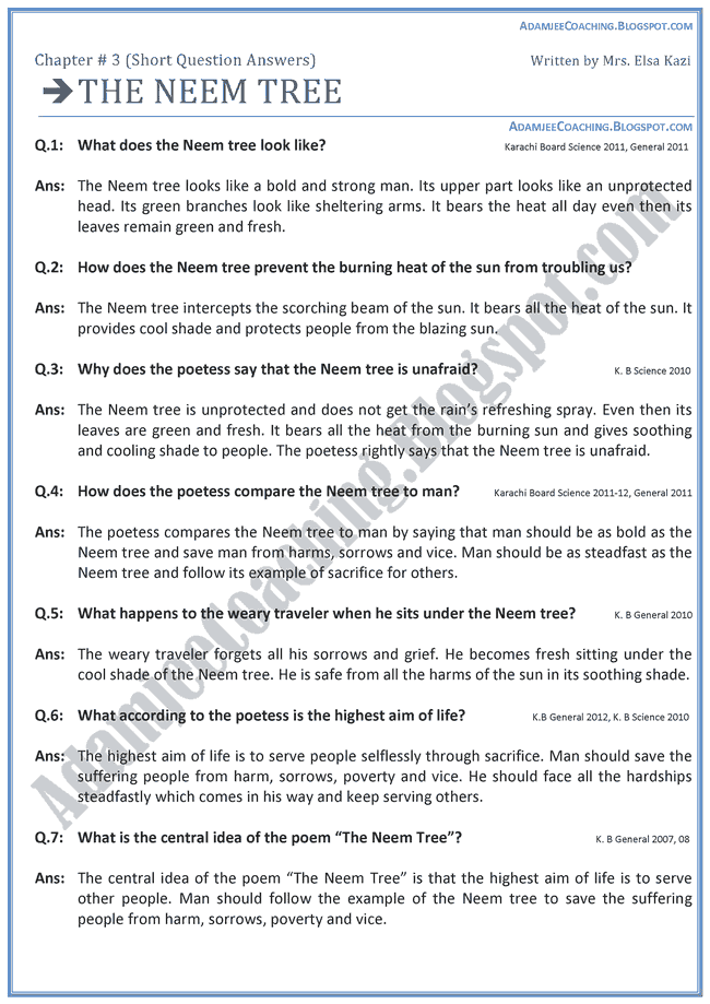 Neem tree essay