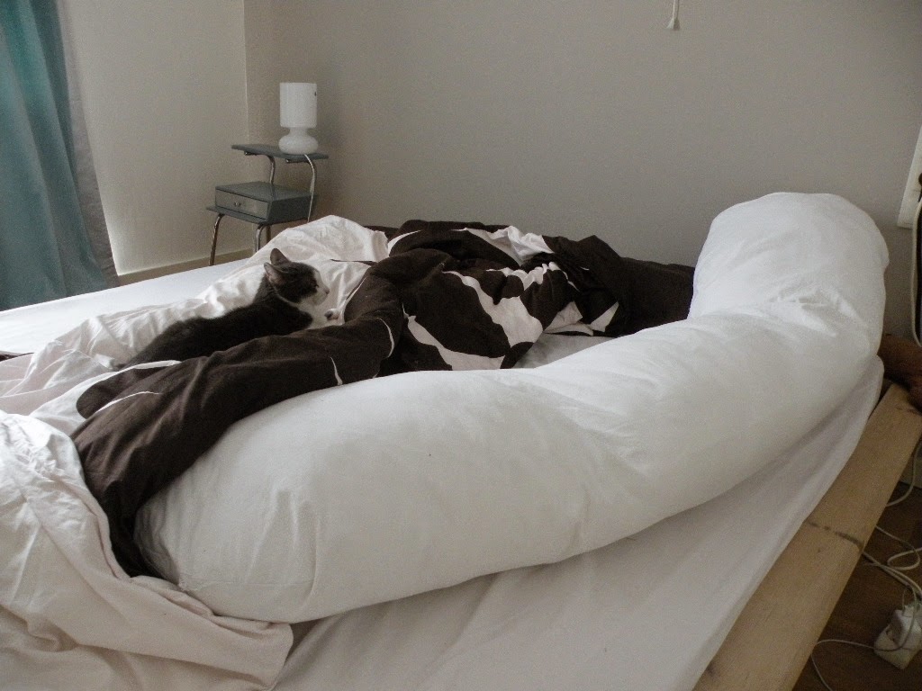 Just Skirts and Dresses September 2014