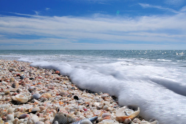 Boat Rs Near Tarpon Springs Fl something sand Boat Rs Near Tarpon Springs Fl something sand