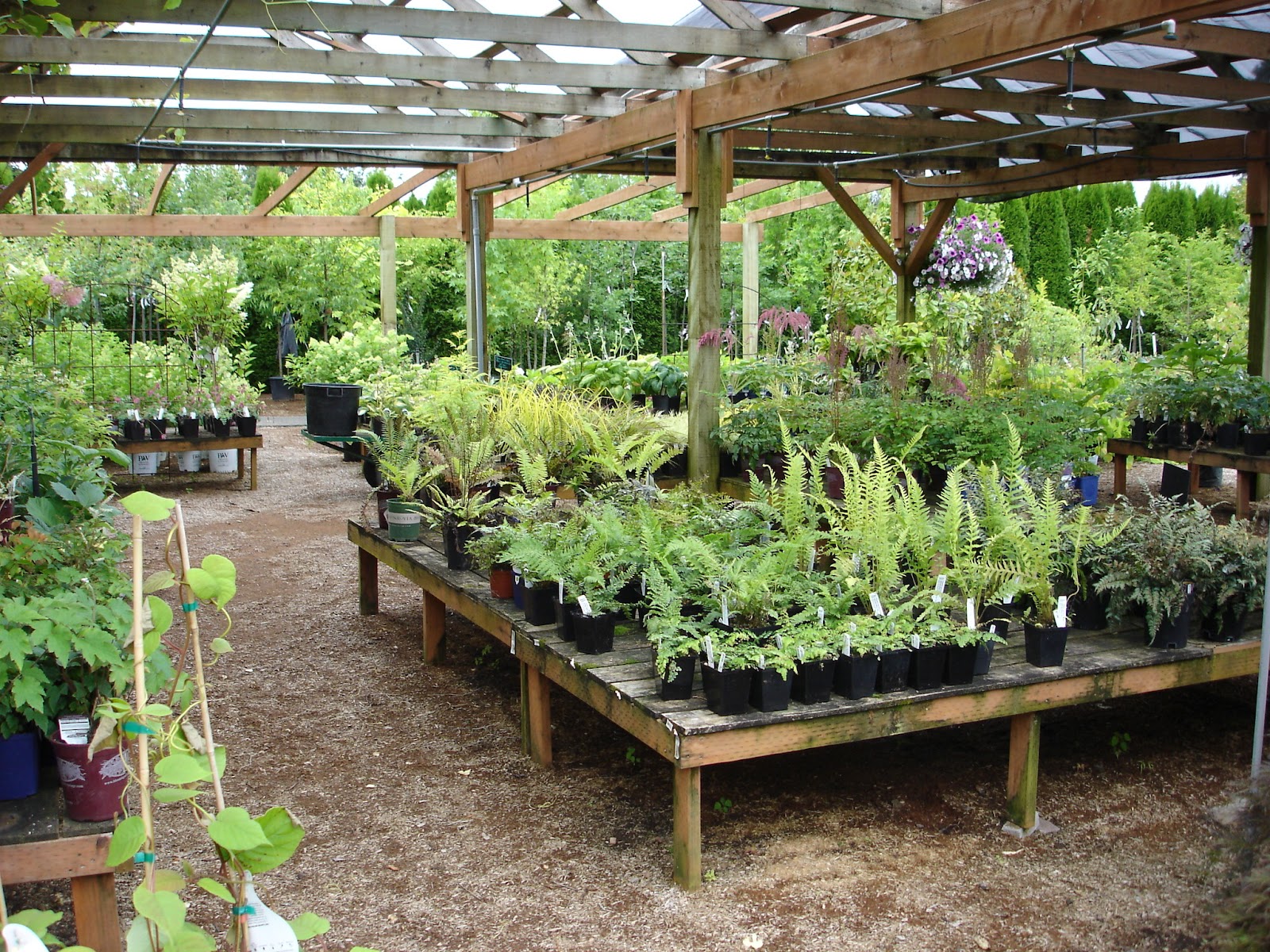 The Outlaw Gardener Vassey Nursery A family affair