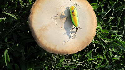 Amanita bisporigera and Heddon Tiny Torpedo