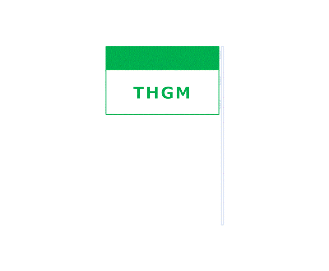 Bandera THGM