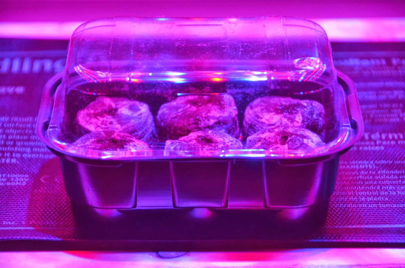 My Suburban MicroFarm New LED Lights & Early Seed Starting