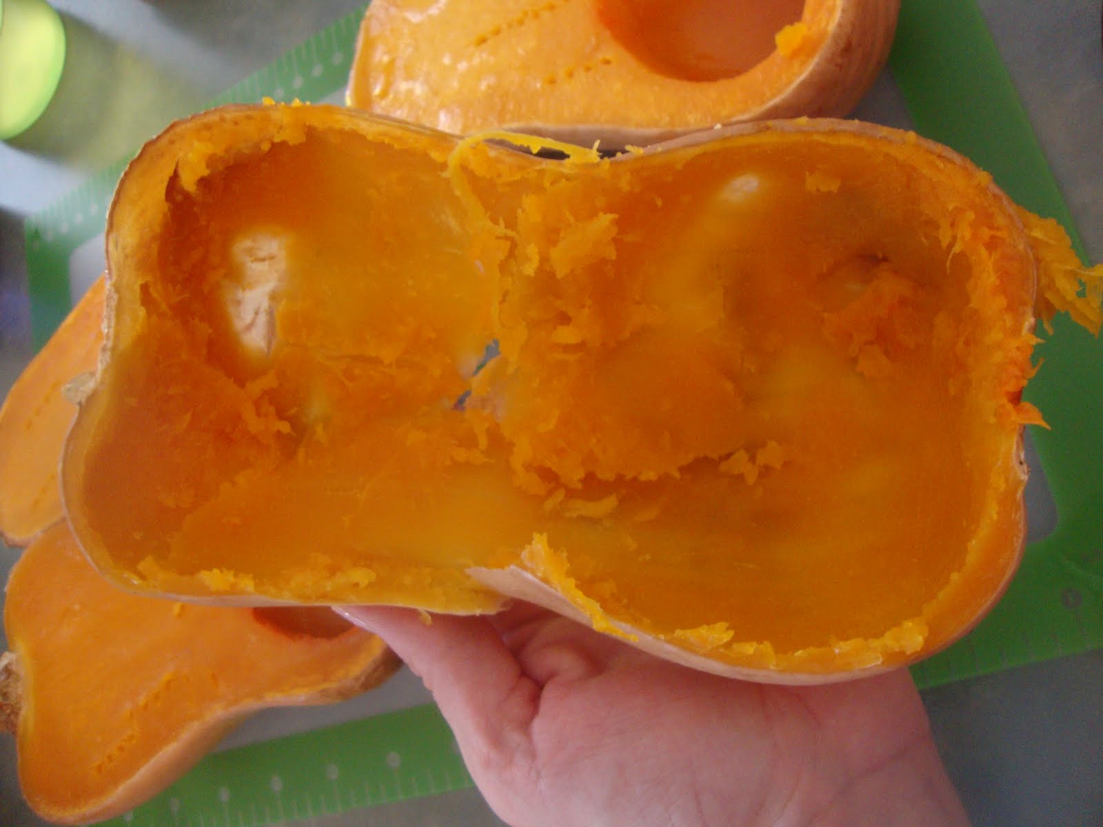 A Busy Mom's Slow Cooker Adventures Using Your Slow Cooker to Make