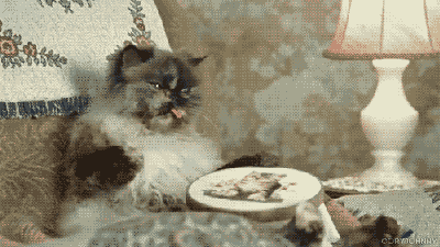 webunic.blogspot.com-Beginilah+Profesi+kucing+Yang+Unik+dan+Gokil%2521%2521+%25288%2529.gif