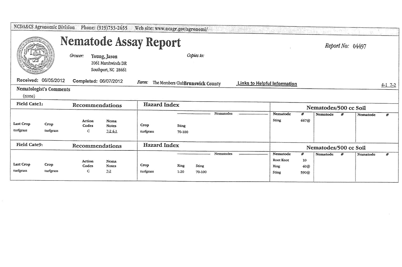Gold assay report sample picture