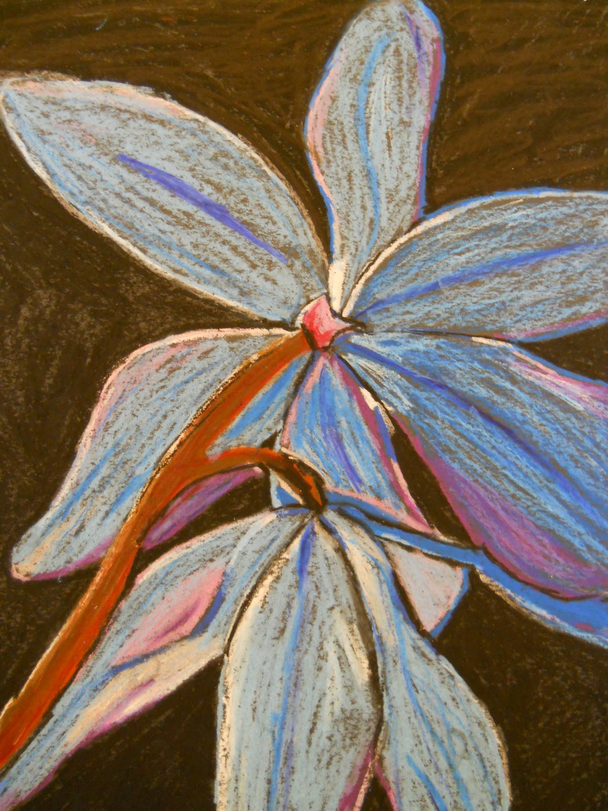 Creative Hands: FEBRUARY ART STUDENT OF THE MONTH AND OIL PASTEL DRAWINGS