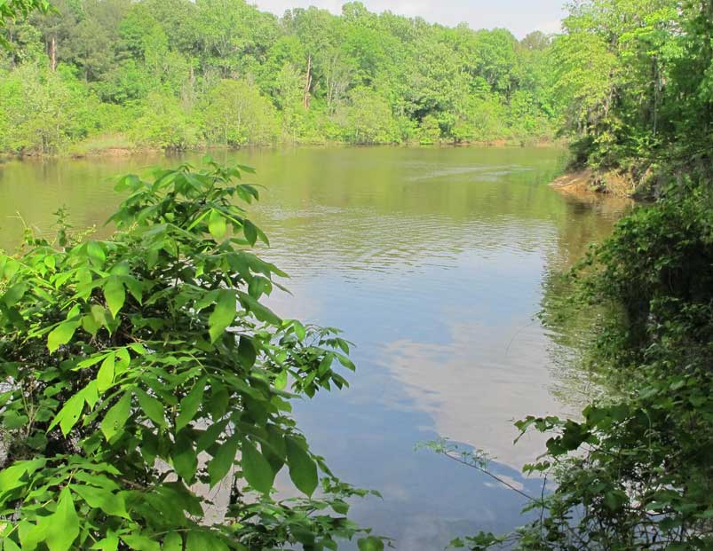 Cozy Rosie Gunter Hill Campground Alabama