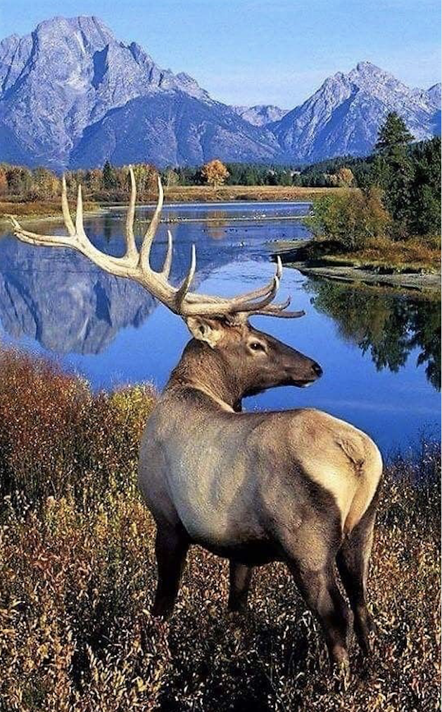 serenity scene