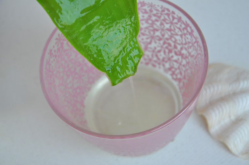 Fashion Gourmet Homemade Aloe Vera gel