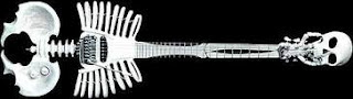 Gitar Unik Gitar Unik