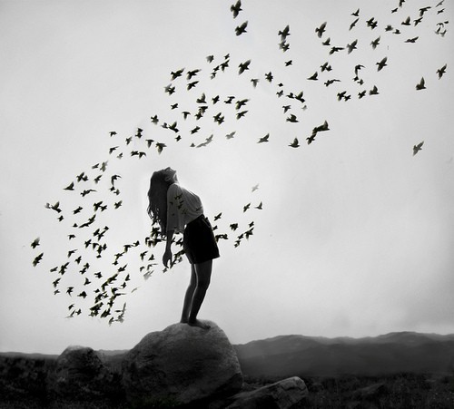 free like a bird