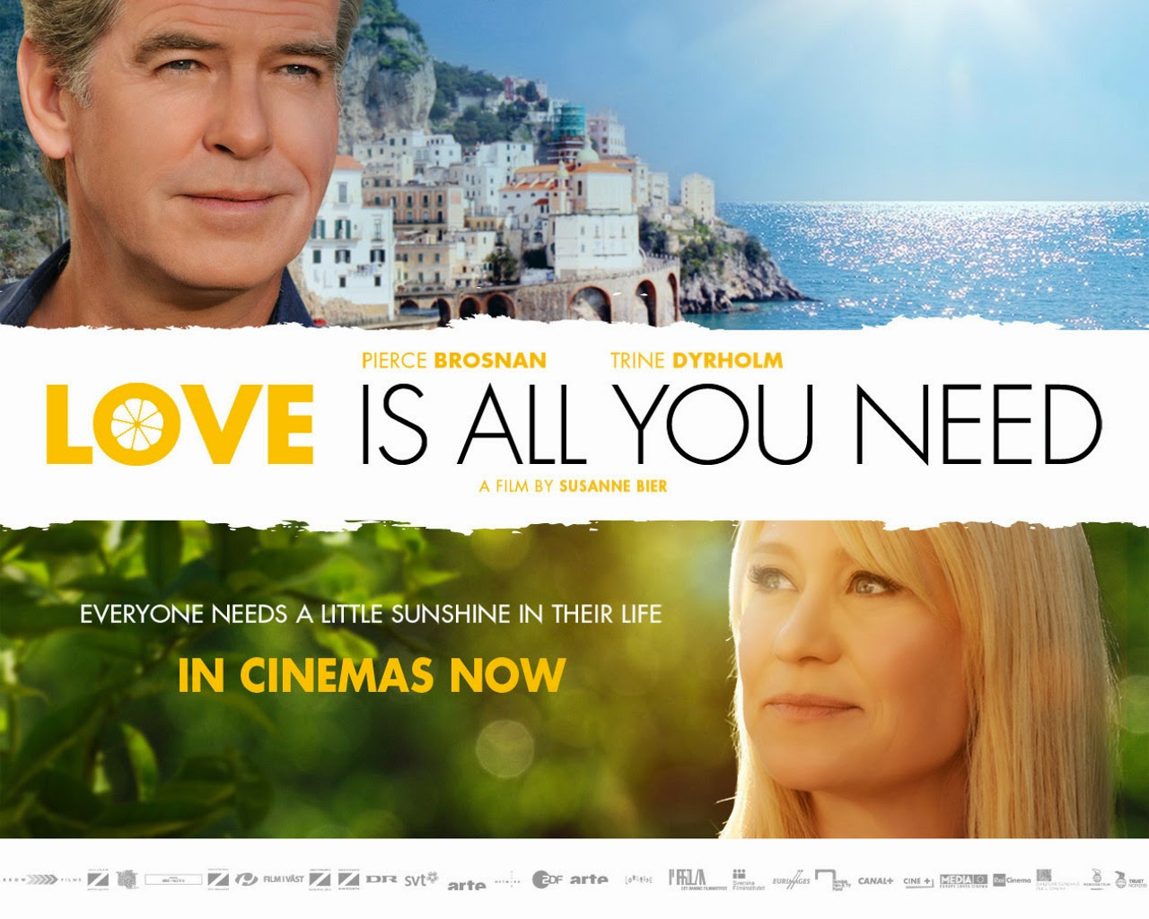 Love Is All You Need? 2012 - IMDb