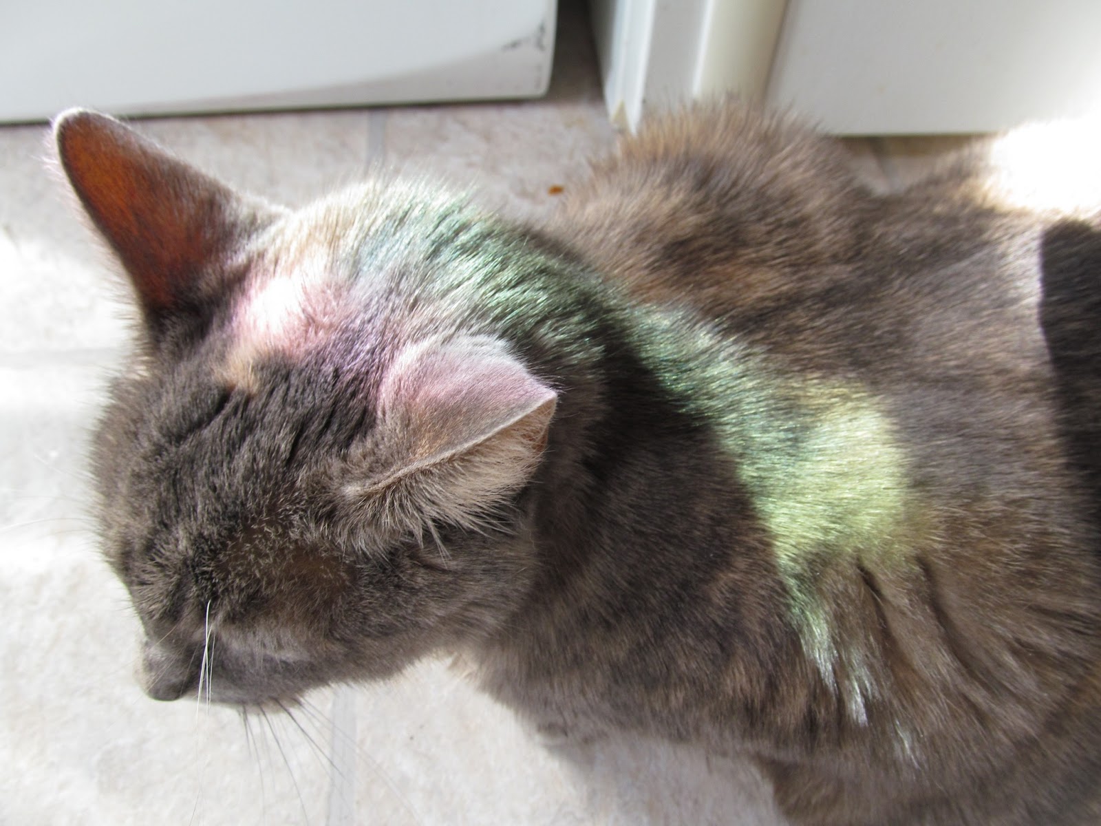 sa façon à elle de reprendre des couleurs! :D