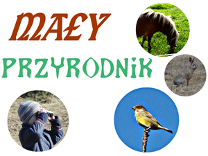 Mały Przyrodnik