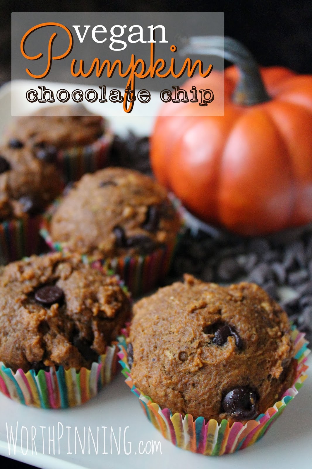 Vegan Pumpkin Chocolate Chip Cake Vegan Pumpkin Chocolate Chip Cake