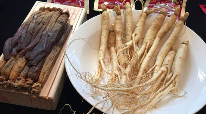 Inilah Penjelasan Dan Khasiat Ginseng Korea Untuk Kesehatan Inilah Penjelasan Dan Khasiat Ginseng Korea Untuk Kesehatan