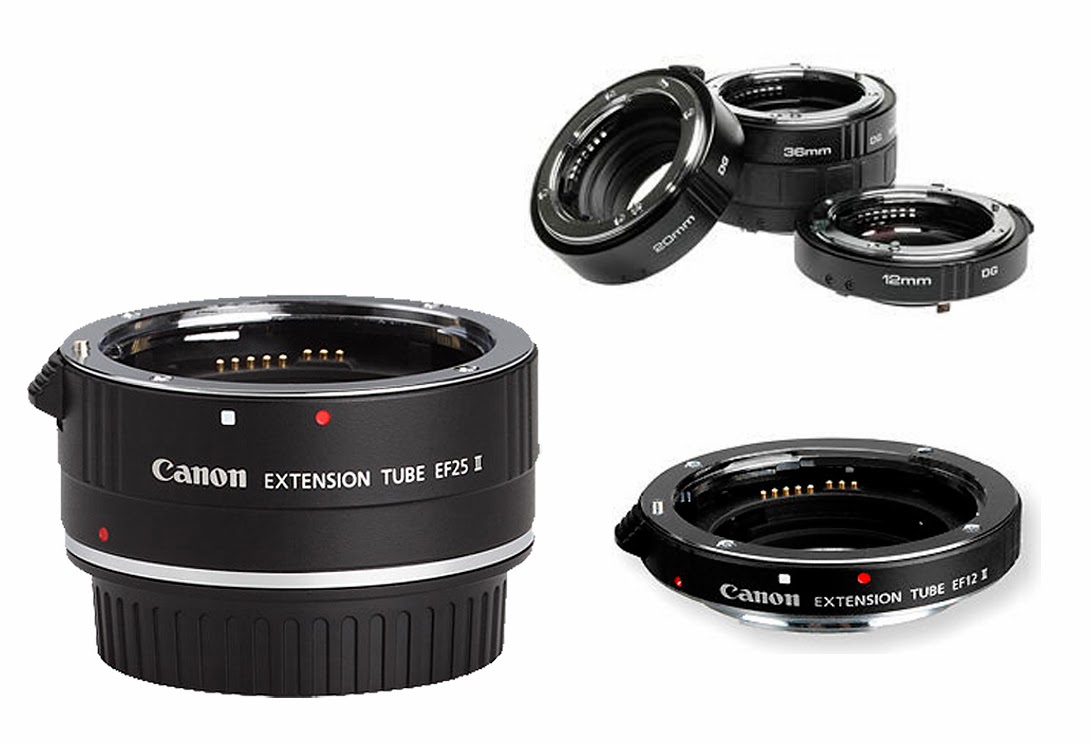 Macro Photography Using Extension Tubes Technology Share