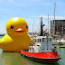 Conheça o maior pato de borracha do mundo