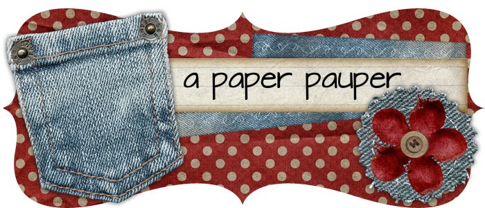 a paper pauper