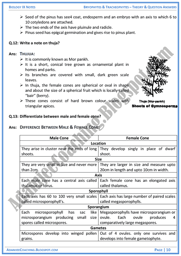 bryophytes-and-tracheophytes-theory-notes-and-question-answers-biology-notes-for-class-9th