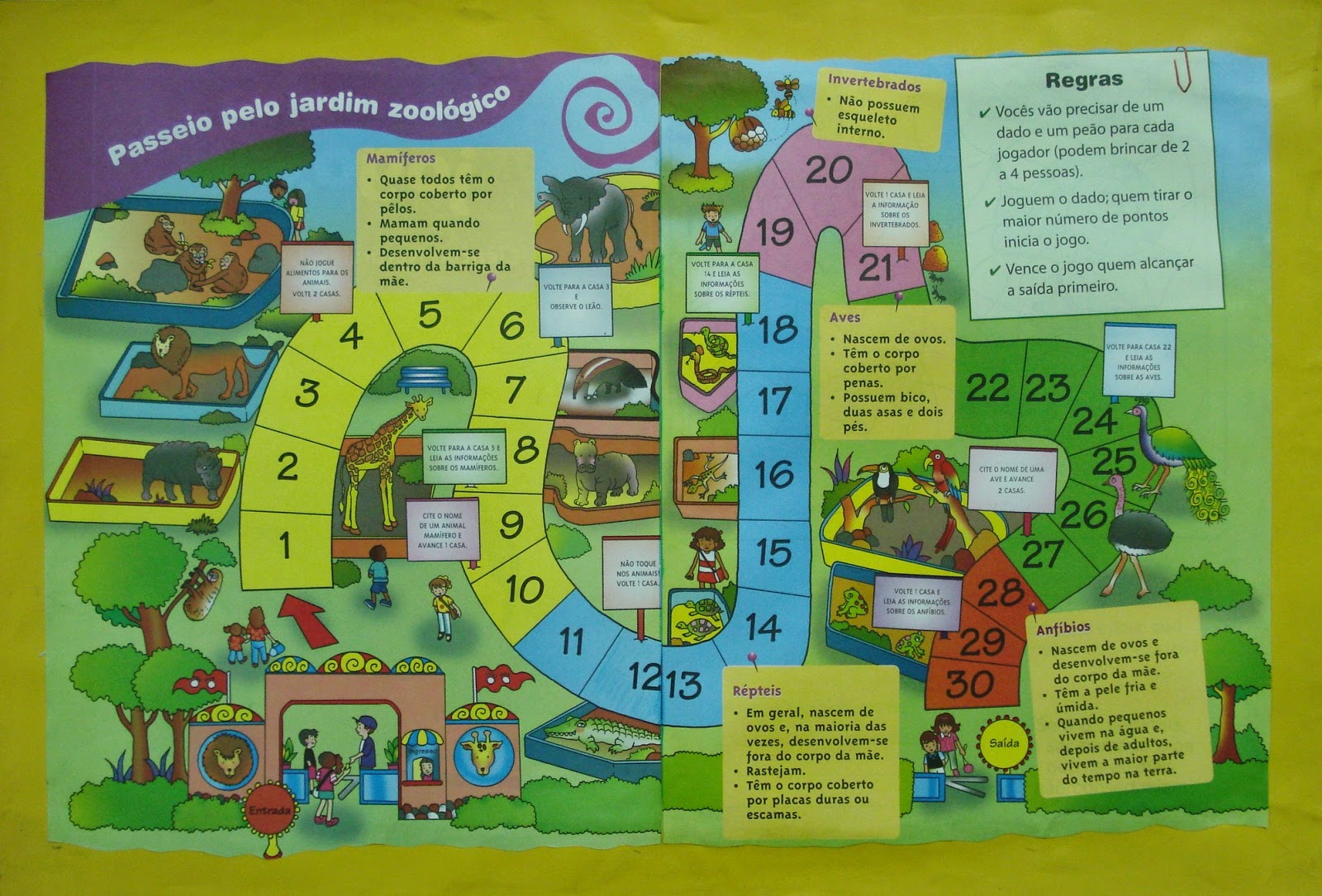 Jogos De Tabuleiro Jogo Trilha Escolar 18 Peças Em Madeira - Futura  Brinquedos Educativos