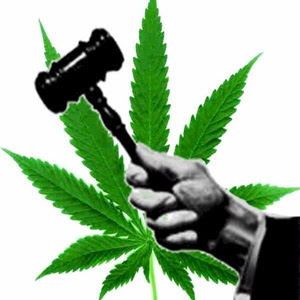 legalização da maconha legalização da maconha