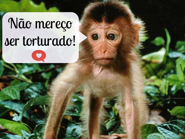 Não mereço ser torturado! cruelty free testes em animais