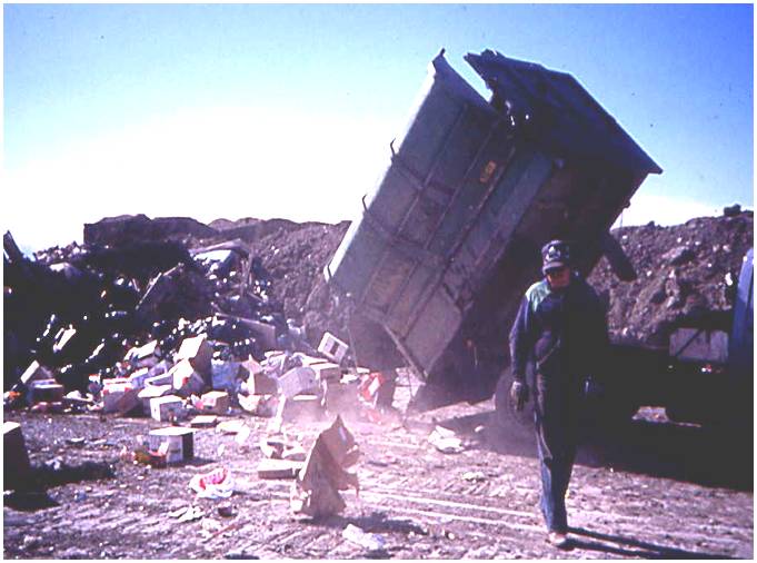 Landfill Litter Blowing in the Wind