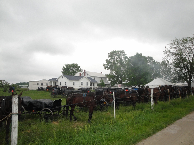 New York State of Mind OLD ORDER AMISH AUCTIONPART I