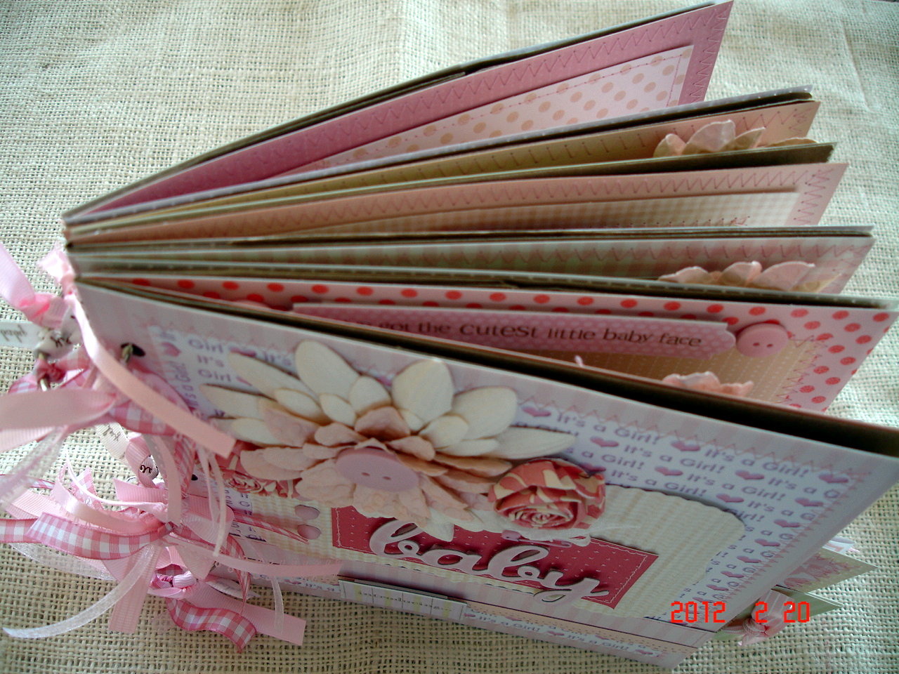 Scrapbooking by Phyllis Premade 8x8 Paper Bag Baby Girl Scrapbook Album