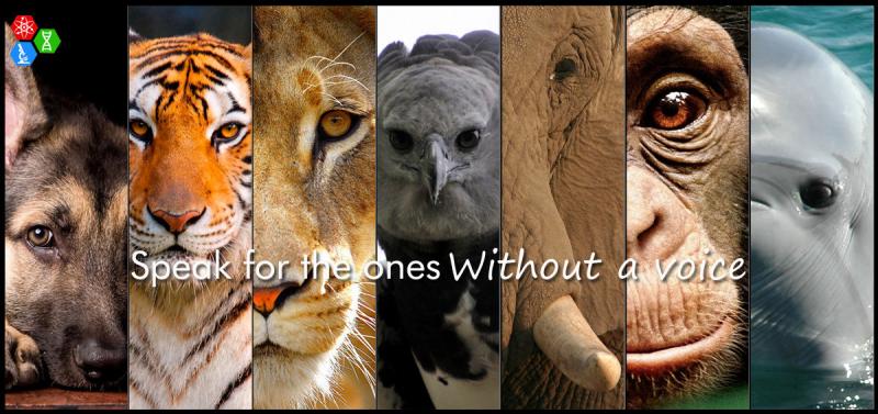 Speak for the ones Without a voice