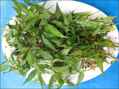cách làm se lỗ chân lông ở mặt cách làm se lỗ chân lông ở mặt
