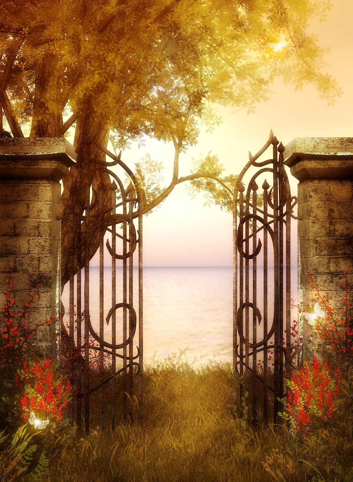 30 backgrounds Jpg em alta resolução | Imagens Png fundo transparente