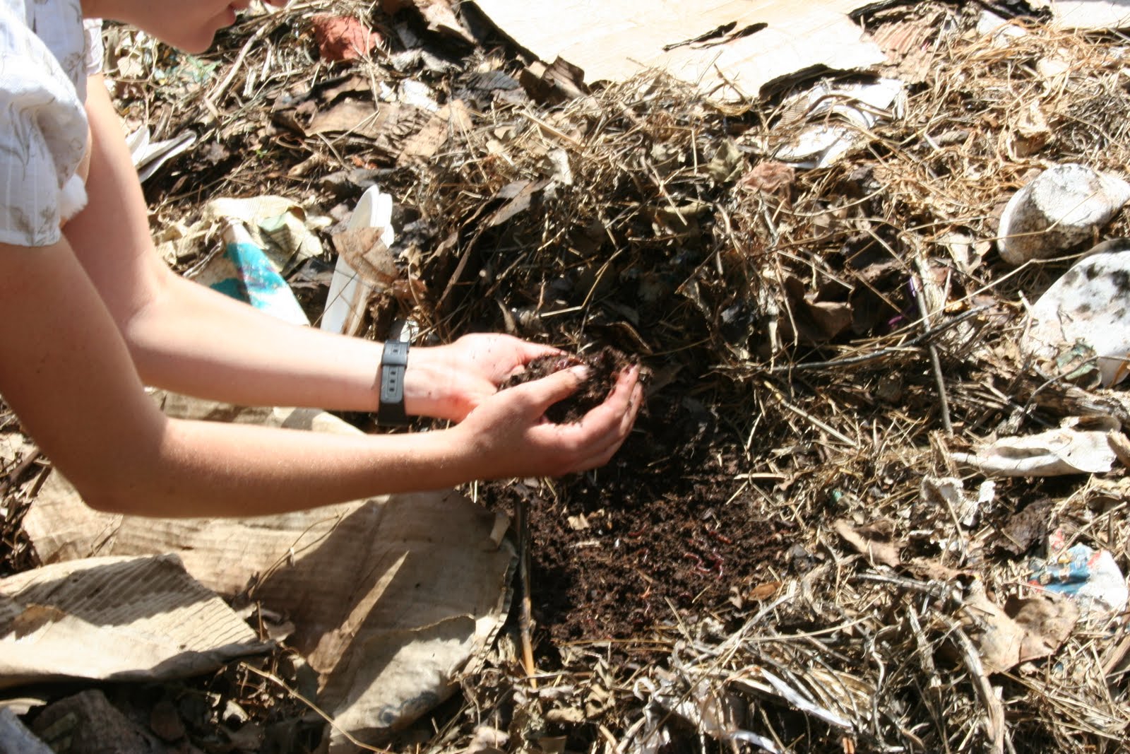 The CreativeNative Project Closer to the Earth Gardening Project Part