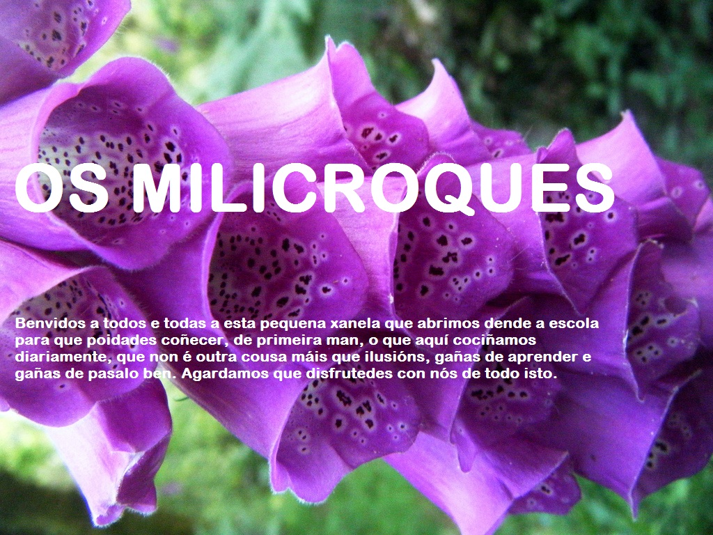 OS MILICROQUES