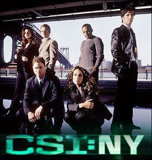 out for in CSI:NY season 7