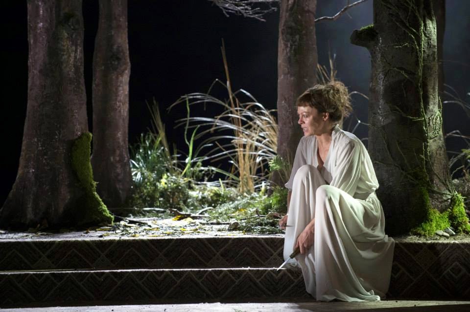 medea a loving mother essay medea a loving mother essay
