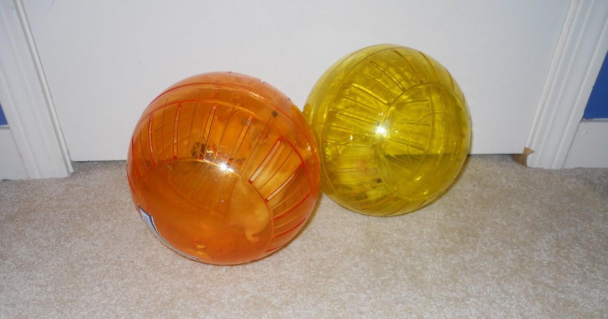 Bringing Up the Brats Hamster balls