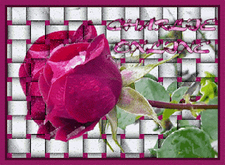 الورد متحركة ...   Flowers+Pictures8