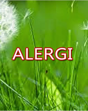 OBAT HERBAL ALERGI terapi-obat-alergi-herbal-nasa