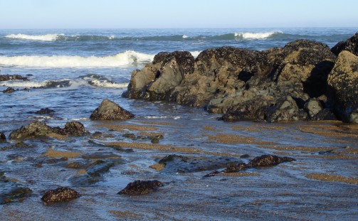what s happen inn at sandlake country inn oregon coast what s happen inn at sandlake country inn oregon coast