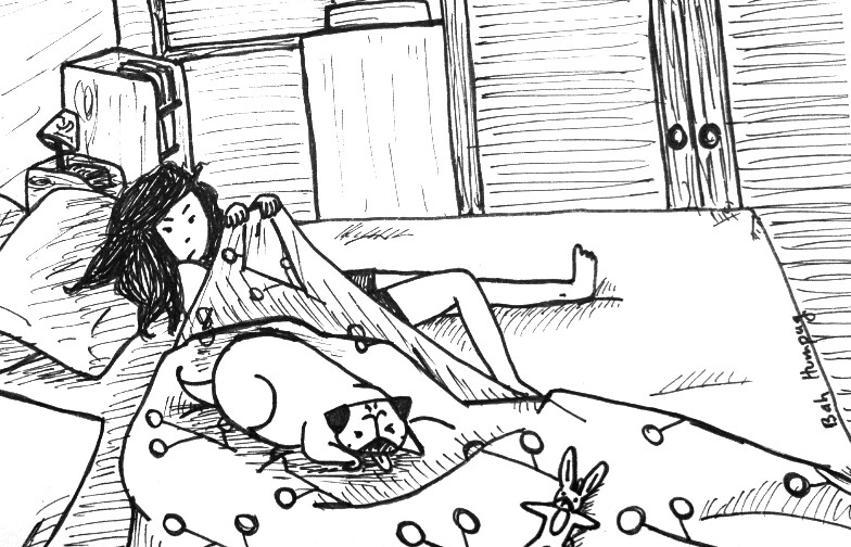 pug trembling bah humpug bed hog pug trembling bah humpug bed hog